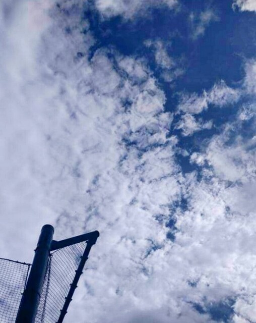 Screenshot_20241009-00443864…